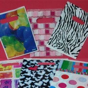 Bolsas Riñon - Imagen 2